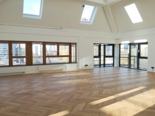 Dojo
